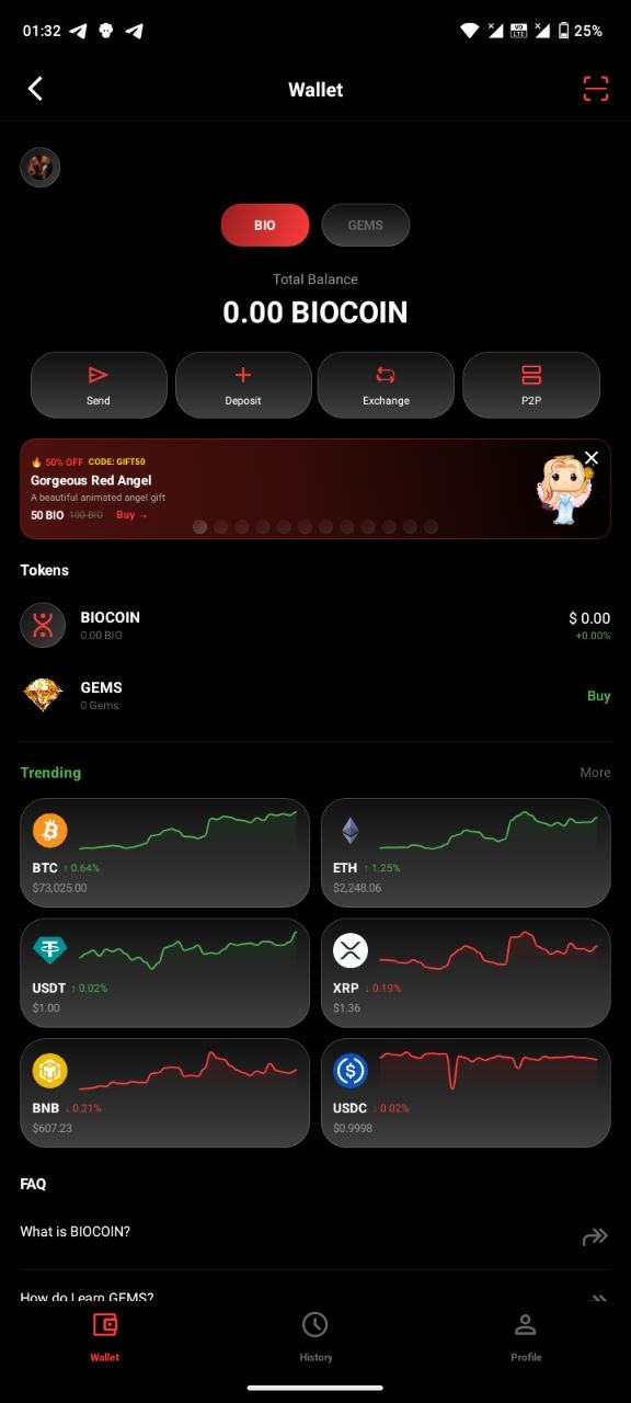 BioCoin Wallet Interface